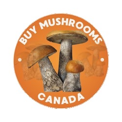 Buy Mushrooms Canada, Ca