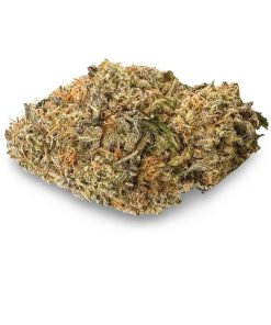 Granddaddy Purple Kush