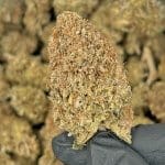 Lemon Sour Diesel