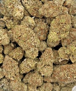 Super Silver Haze strains